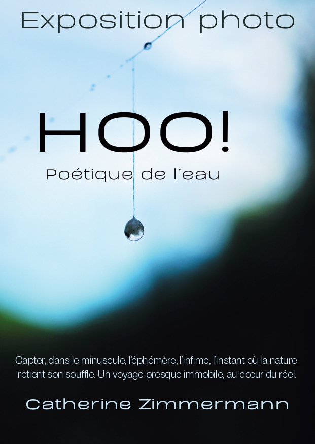 Exposition "HOO!", macro-photographie de Cathy Zimmermann