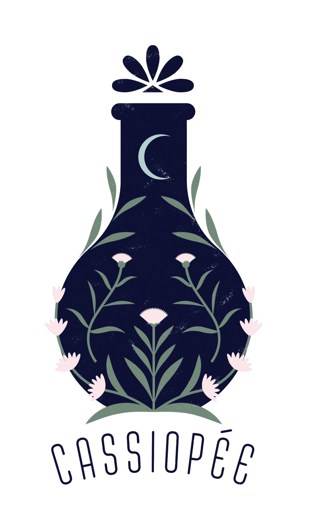 Cassiopée Cassiopée