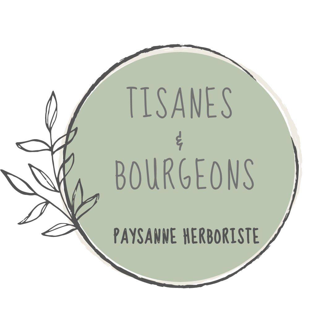 Tisanes et bourgeons