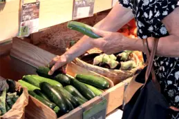 456-biocoop-champagnole-magasin-alimentation-bio-legume-courgette-saison.webp